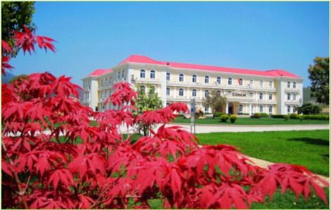 做綠色發(fā)展的先行者——安徽銅陵海螺水泥發(fā)展紀(jì)實